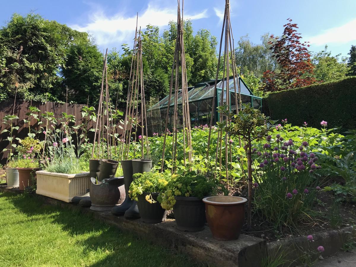 Tresillian House Bed and Breakfast Melton Mowbray Exteriör bild