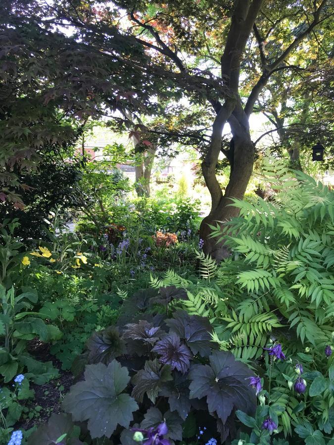 Tresillian House Bed and Breakfast Melton Mowbray Exteriör bild